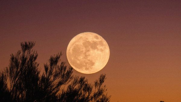 La prochaine pleine lune arrive le 26 septembre 2026 : l’heure et les conseils pour l’observer
