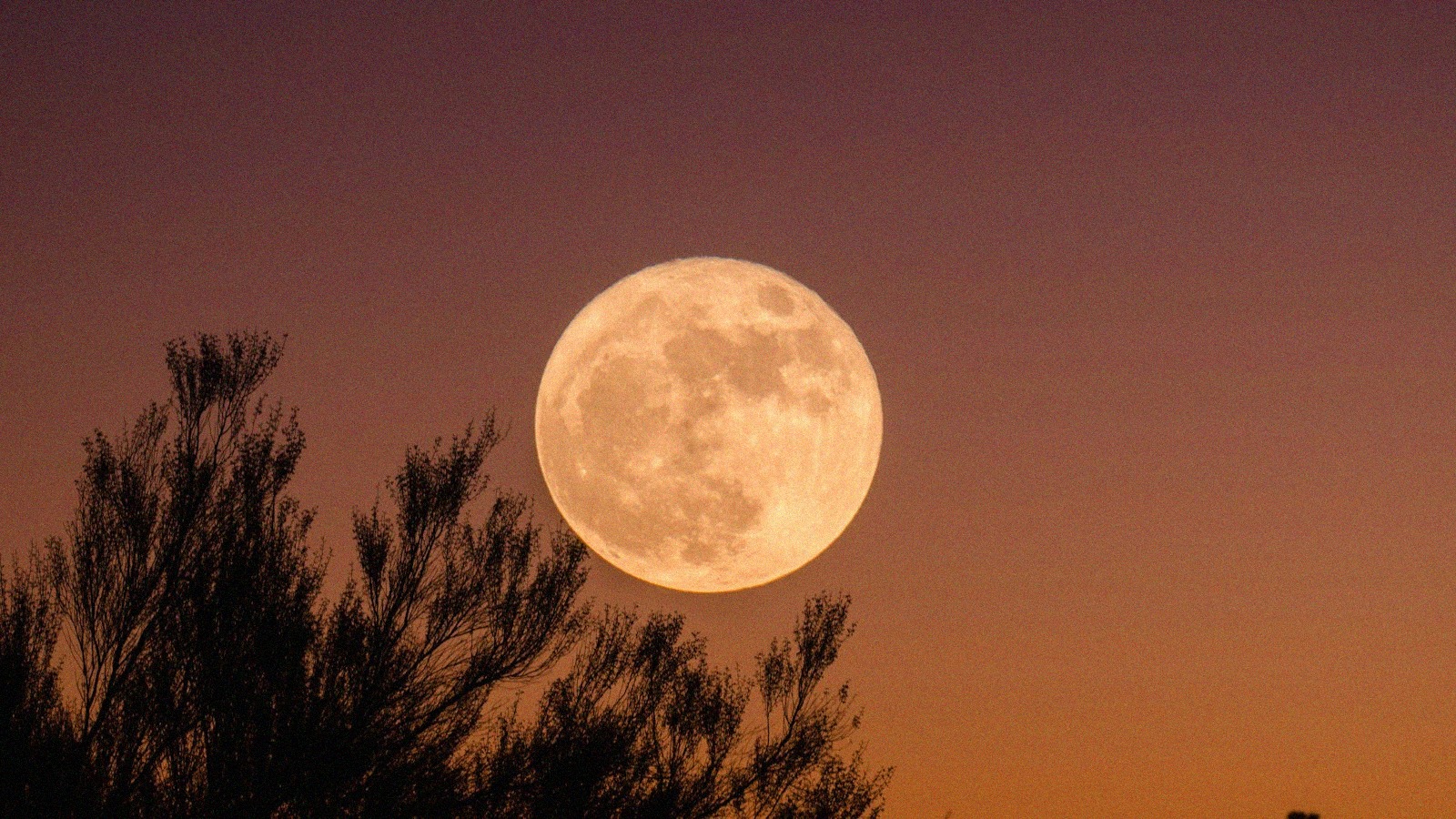 La prochaine pleine lune arrive le 26 septembre 2026 l